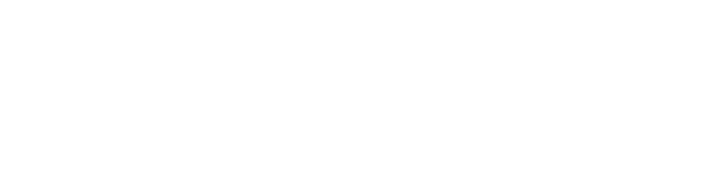ap-logo.webp