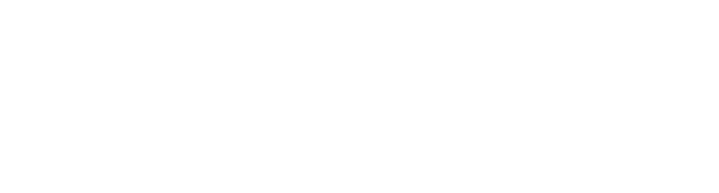 dd-logo.webp