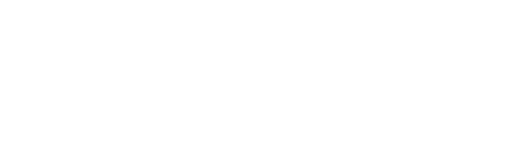 gpp-logo.webp