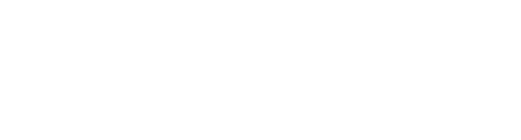 logo-wordpress-scriptplug.png