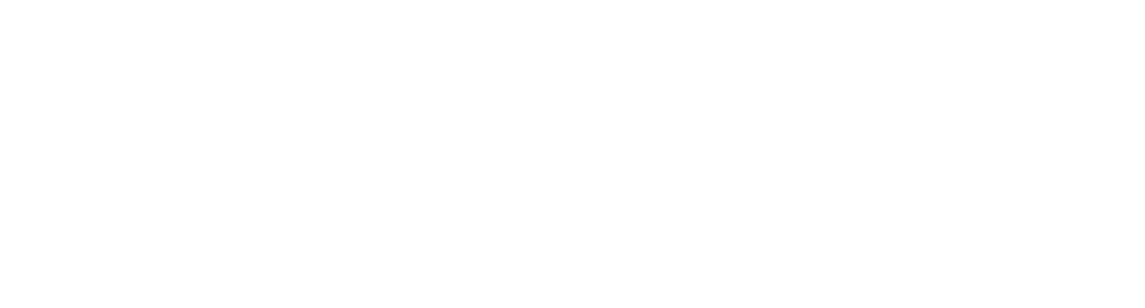 pp-logo.webp
