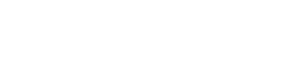 vs-logo.webp
